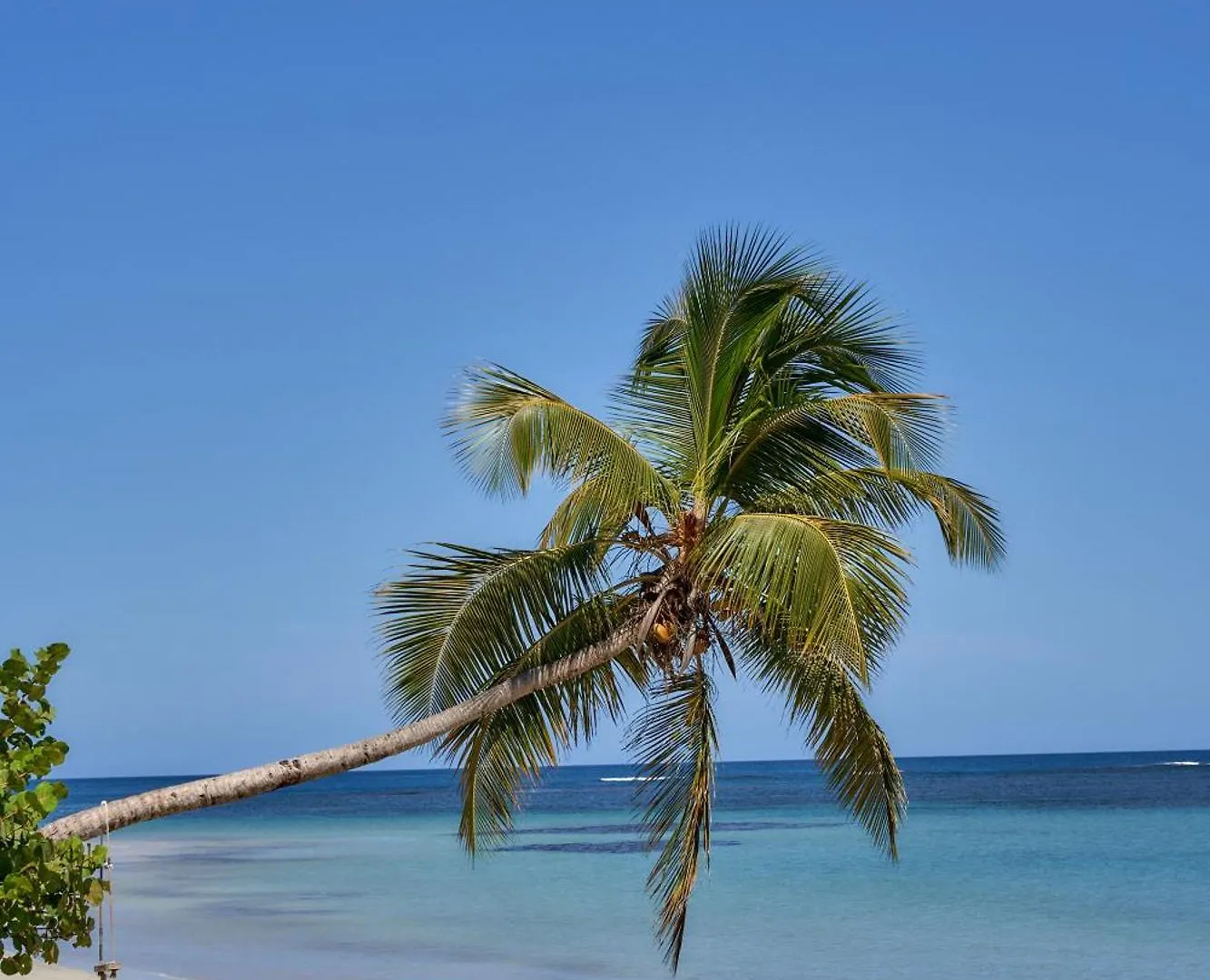 Empyrean Tropical Wellness Portillo Las Terrenas 0*,  Dominican Republic